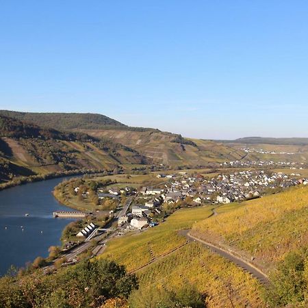 Ferienwohnung Flaemisches Weinhaus Wintrich Bagian luar foto