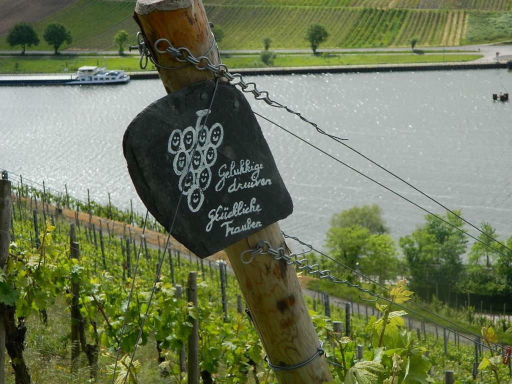Ferienwohnung Flaemisches Weinhaus Wintrich Bagian luar foto